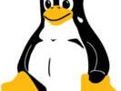penguin-flat